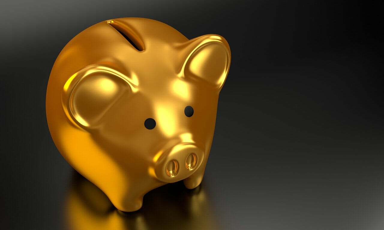 piggy bank, money, finance, smart money bro